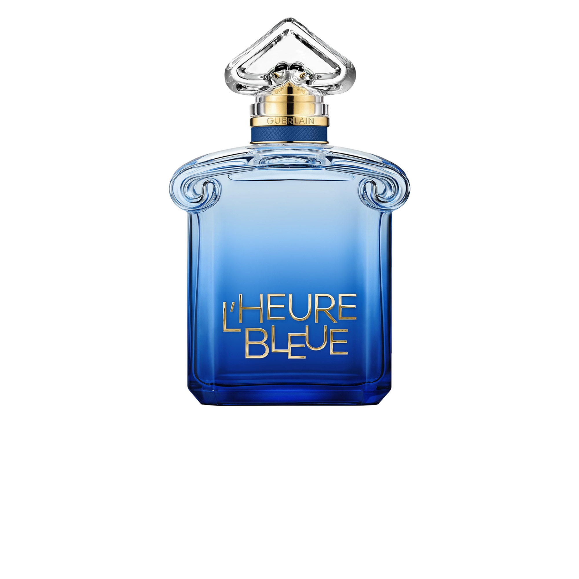 Bleu updated.jpg